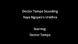 Asian Teen Raya Ngueyn Piss Hole Gets Penetrated With Surgical Steel Sounds By Doctor Tampa Justness Of GirlsGoneGyno Raya Pham Raya Kahi Reup
